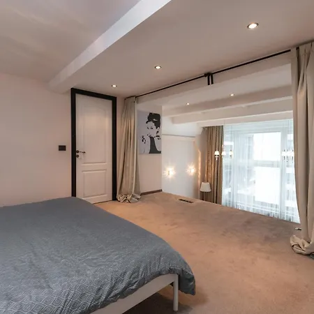 Spacious & Cozy Loft Near Old Town Appartement Vilnius