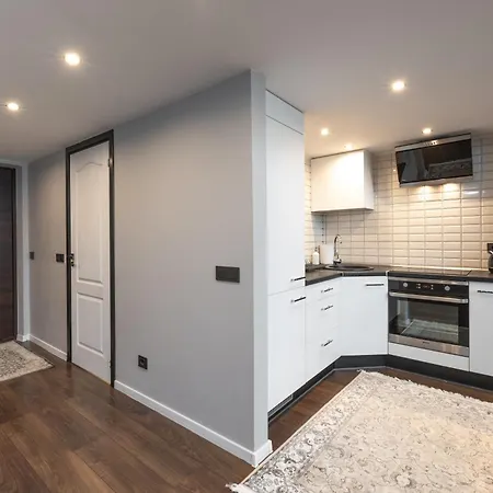 Spacious & Cozy Loft Near Old Town Vilnius