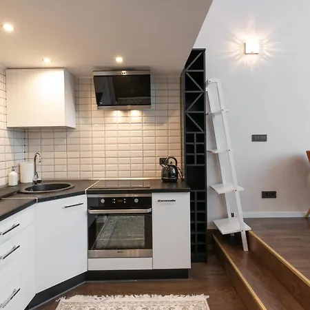 Spacious & Cozy Loft Near Old Town Διαμέρισμα Βίλνιους