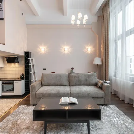 Apartment Spacious & Cozy Loft Near Old Town *
