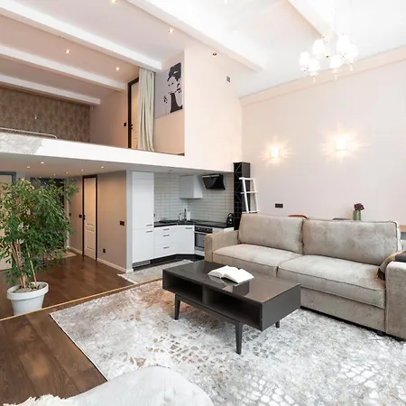 Appartement Spacious & Cozy Loft Near Old Town Vilnius